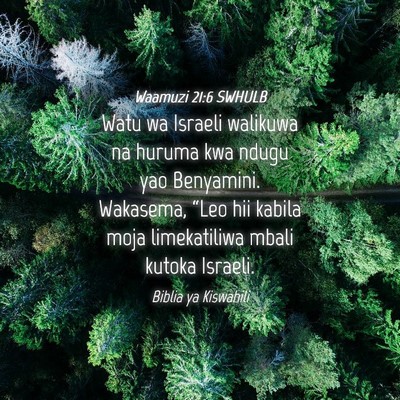 Picture 04 - Waamuzi 21:6 SWHULB - Watu wa Israeli walikuwa na huruma kwa ndugu yao - Bible Verse Picture