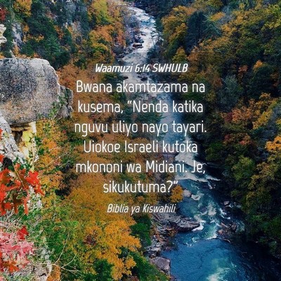 Picture 04 - Waamuzi 6:14 SWHULB - Bwana akamtazama na kusema, “Nenda katika nguvu - Bible Verse Picture
