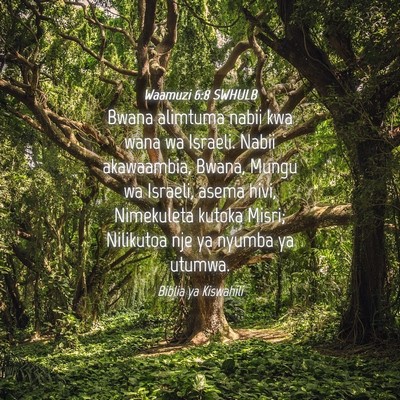 Picture 04 - Waamuzi 6:8 SWHULB - Bwana alimtuma nabii kwa wana wa Israeli. Nabii - Bible Verse Picture