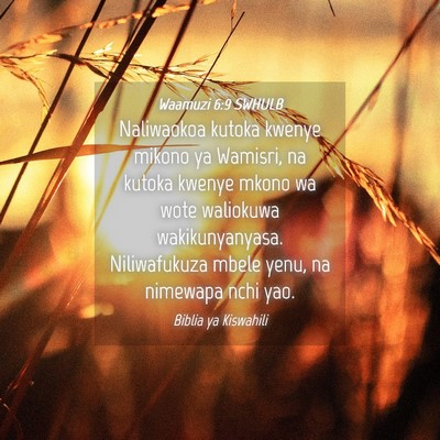 Picture 04 - Waamuzi 6:9 SWHULB - Naliwaokoa kutoka kwenye mikono ya Wamisri, na - Bible Verse Picture