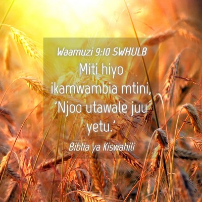 Picture 04 - Waamuzi 9:10 SWHULB - Miti hiyo ikamwambia mtini, 'Njoo utawale juu - Bible Verse Picture