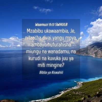 Picture 04 - Waamuzi 9:13 SWHULB - Mzabibu ukawaambia, Je, nitaacha divai yangu - Bible Verse Picture