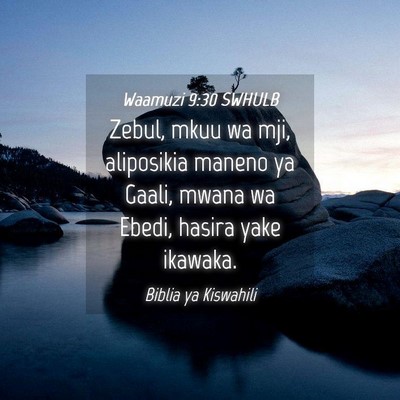 Picture 04 - Waamuzi 9:30 SWHULB - Zebul, mkuu wa mji, aliposikia maneno ya Gaali, - Bible Verse Picture