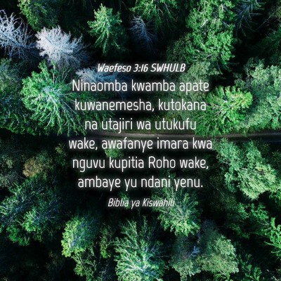 Picture 04 - Waefeso 3:16 SWHULB - Ninaomba kwamba apate kuwanemesha, kutokana na - Bible Verse Picture