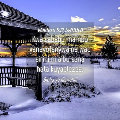 Picture 04 - Waefeso 5:12 SWHULB - Kwa sababu mambo yanayofanywa na wao sirini ni - Bible Verse Picture