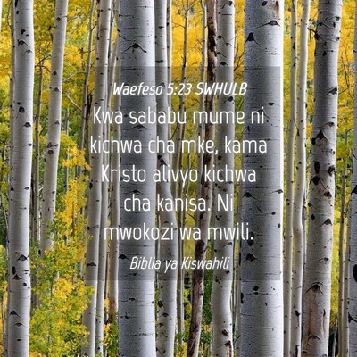 Picture 04 - Waefeso 5:23 SWHULB - Kwa sababu mume ni kichwa cha mke, kama Kristo - Bible Verse Picture