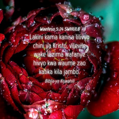 Picture 04 - Waefeso 5:24 SWHULB - Lakini kama kanisa lilivyo chini ya Kristo, - Bible Verse Picture