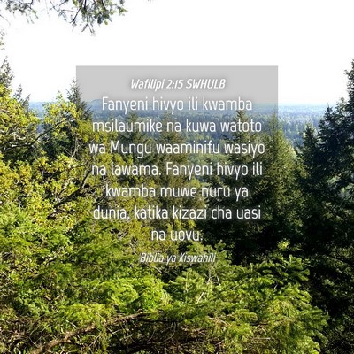 Picture 04 - Wafilipi 2:15 SWHULB - Fanyeni hivyo ili kwamba msilaumike na kuwa - Bible Verse Picture