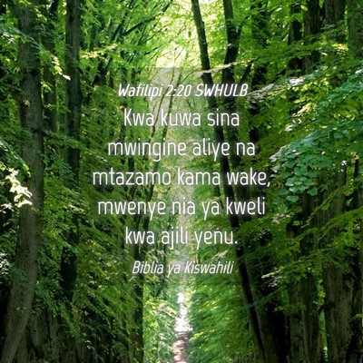 Picture 04 - Wafilipi 2:20 SWHULB - Kwa kuwa sina mwingine aliye na mtazamo kama - Bible Verse Picture