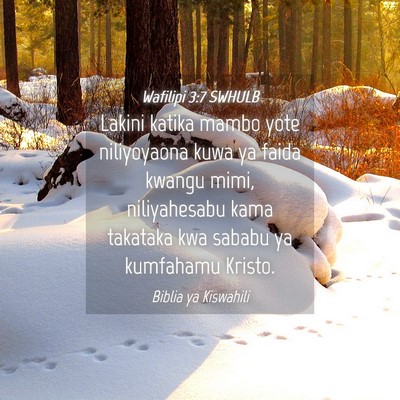 Picture 04 - Wafilipi 3:7 SWHULB - Lakini katika mambo yote niliyoyaona kuwa ya - Bible Verse Picture