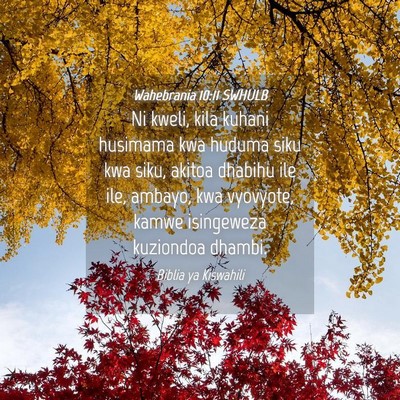 Picture 04 - Wahebrania 10:11 SWHULB - Ni kweli, kila kuhani husimama kwa huduma siku - Bible Verse Picture