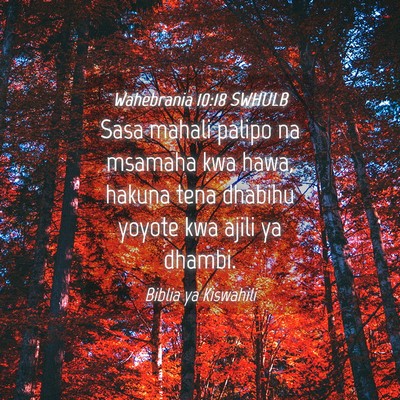 Picture 04 - Wahebrania 10:18 SWHULB - Sasa mahali palipo na msamaha kwa hawa, hakuna - Bible Verse Picture