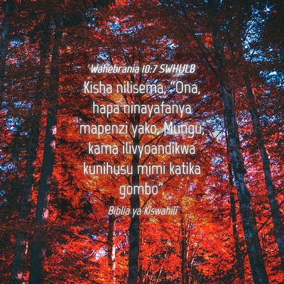 Picture 04 - Wahebrania 10:7 SWHULB - Kisha nilisema, “Ona, hapa ninayafanya mapenzi - Bible Verse Picture
