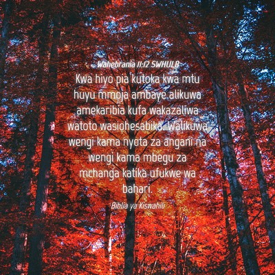 Picture 04 - Wahebrania 11:12 SWHULB - Kwa hiyo pia kutoka kwa mtu huyu mmoja ambaye - Bible Verse Picture