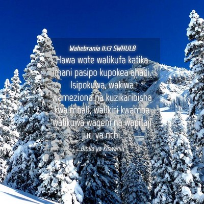 Picture 04 - Wahebrania 11:13 SWHULB - Hawa wote walikufa katika imani pasipo kupokea - Bible Verse Picture