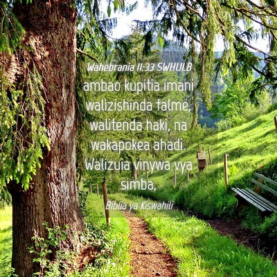 Picture 04 - Wahebrania 11:33 SWHULB - ambao kupitia imani walizishinda falme, walitenda - Bible Verse Picture