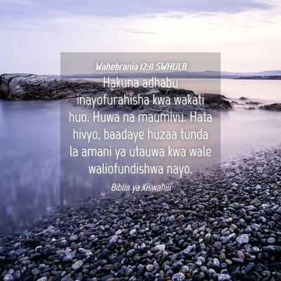 Picture 04 - Wahebrania 12:11 SWHULB - Hakuna adhabu inayofurahisha kwa wakati huo. Huwa - Bible Verse Picture