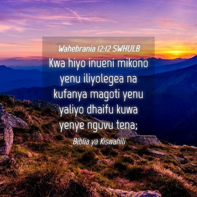 Picture 04 - Wahebrania 12:12 SWHULB - Kwa hiyo inueni mikono yenu iliyolegea na kufanya - Bible Verse Picture