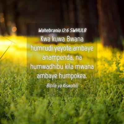Picture 04 - Wahebrania 12:6 SWHULB - Kwa kuwa Bwana humrudi yeyote ambaye anampenda, - Bible Verse Picture