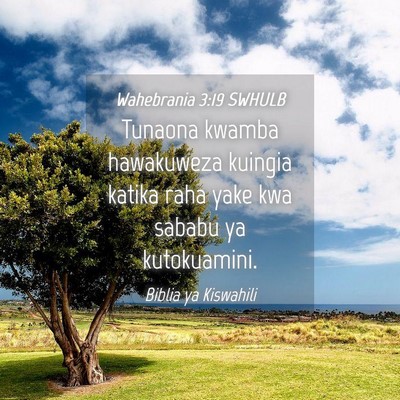 Picture 04 - Wahebrania 3:19 SWHULB - Tunaona kwamba hawakuweza kuingia katika raha - Bible Verse Picture