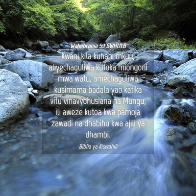 Picture 04 - Wahebrania 5:1 SWHULB - Kwani kila kuhani mkuu, aliyechaguliwa kutoka - Bible Verse Picture
