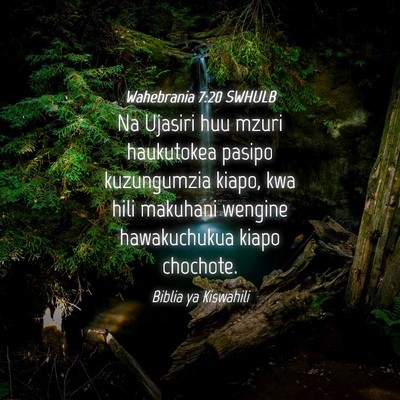 Picture 04 - Wahebrania 7:20 SWHULB - Na Ujasiri huu mzuri haukutokea pasipo - Bible Verse Picture
