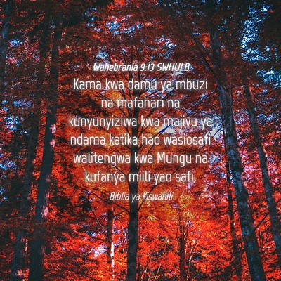 Picture 04 - Wahebrania 9:13 SWHULB - Kama kwa damu ya mbuzi na mafahari na - Bible Verse Picture
