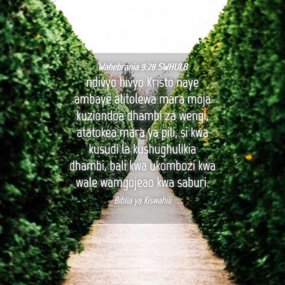 Picture 04 - Wahebrania 9:28 SWHULB - ndivyo hivyo Kristo naye ambaye alitolewa mara - Bible Verse Picture