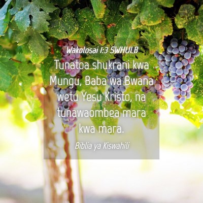 Picture 04 - Wakolosai 1:3 SWHULB - Tunatoa shukrani kwa Mungu, Baba wa Bwana wetu - Bible Verse Picture