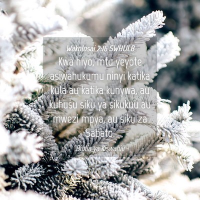 Picture 04 - Wakolosai 2:16 SWHULB - Kwa hiyo, mtu yeyote asiwahukumu ninyi katika - Bible Verse Picture