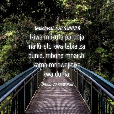 Picture 04 - Wakolosai 2:20 SWHULB - Ikiwa mlikufa pamoja na Kristo kwa tabia za - Bible Verse Picture