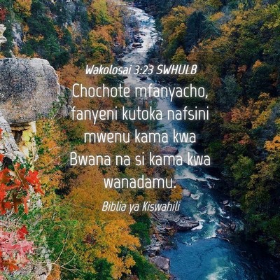 Picture 04 - Wakolosai 3:23 SWHULB - Chochote mfanyacho, fanyeni kutoka nafsini mwenu - Bible Verse Picture