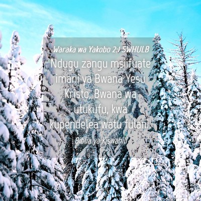 Picture 04 - Waraka wa Yakobo 2:1 SWHULB - Ndugu zangu msiifuate imani ya Bwana Yesu Kristo, - Bible Verse Picture