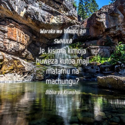 Picture 04 - Waraka wa Yakobo 3:11 SWHULB - Je, kisima kimoja huweza kutoa maji matamu na - Bible Verse Picture