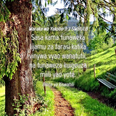Picture 04 - Waraka wa Yakobo 3:3 SWHULB - Sasa kama tunaweka lijamu za farasi katika vinywa - Bible Verse Picture