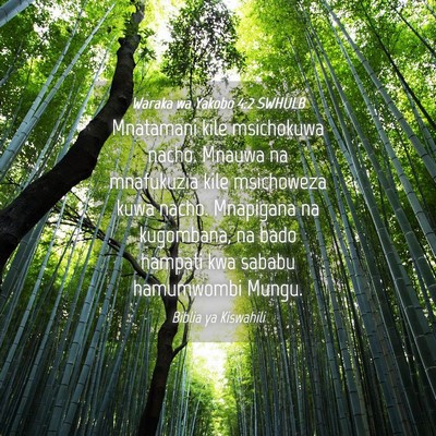 Picture 04 - Waraka wa Yakobo 4:2 SWHULB - Mnatamani kile msichokuwa nacho. Mnauwa na - Bible Verse Picture
