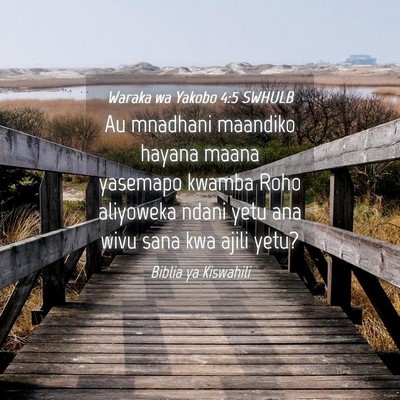 Picture 04 - Waraka wa Yakobo 4:5 SWHULB - Au mnadhani maandiko hayana maana yasemapo kwamba - Bible Verse Picture