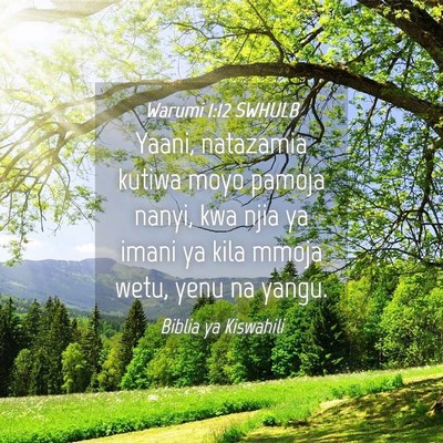 Picture 04 - Warumi 1:12 SWHULB - Yaani, natazamia kutiwa moyo pamoja nanyi, kwa - Bible Verse Picture