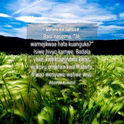 Picture 04 - Warumi 11:11 SWHULB - Basi nasema, “Je, wamejikwaa hata kuanguka?” - Bible Verse Picture