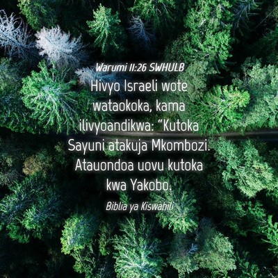 Picture 04 - Warumi 11:26 SWHULB - Hivyo Israeli wote wataokoka, kama ilivyoandikwa: - Bible Verse Picture