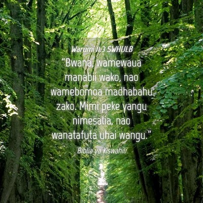 Picture 04 - Warumi 11:3 SWHULB - “Bwana, wamewaua manabii wako, nao wamebomoa - Bible Verse Picture
