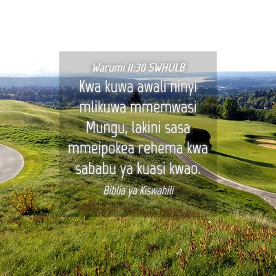 Picture 04 - Warumi 11:30 SWHULB - Kwa kuwa awali ninyi mlikuwa mmemwasi Mungu, - Bible Verse Picture