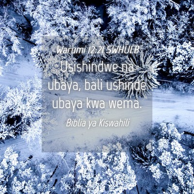 Picture 04 - Warumi 12:21 SWHULB - Usishindwe na ubaya, bali ushinde ubaya kwa - Bible Verse Picture
