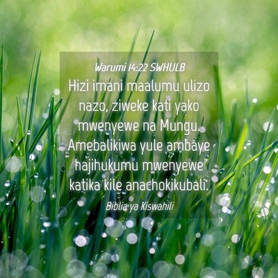 Picture 04 - Warumi 14:22 SWHULB - Hizi imani maalumu ulizo nazo, ziweke kati yako - Bible Verse Picture