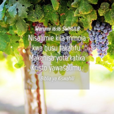 Picture 04 - Warumi 16:16 SWHULB - Nisalimie kila mmoja kwa busu takatifu. Makanisa - Bible Verse Picture