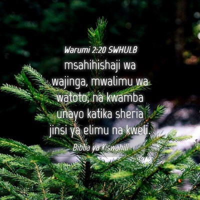 Picture 04 - Warumi 2:20 SWHULB - msahihishaji wa wajinga, mwalimu wa watoto, na - Bible Verse Picture