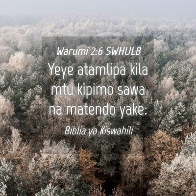 Picture 04 - Warumi 2:6 SWHULB - Yeye atamlipa kila mtu kipimo sawa na matendo - Bible Verse Picture