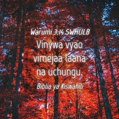 Picture 04 - Warumi 3:14 SWHULB - Vinywa vyao vimejaa laana na - Bible Verse Picture