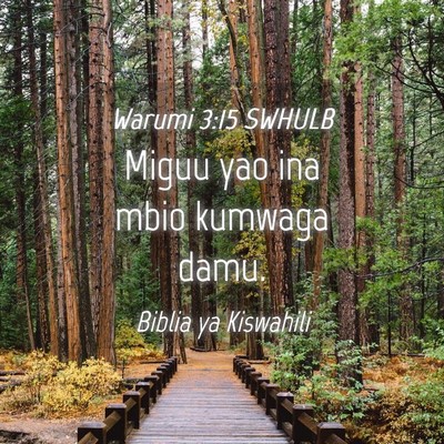 Picture 04 - Warumi 3:15 SWHULB - Miguu yao ina mbio kumwaga - Bible Verse Picture
