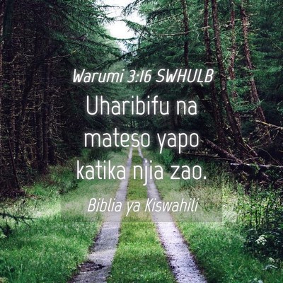 Picture 04 - Warumi 3:16 SWHULB - Uharibifu na mateso yapo katika njia - Bible Verse Picture